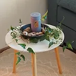 Wildkraut's Kraeuter- Und Alpakabauernhof * 克里斯蒙斯特