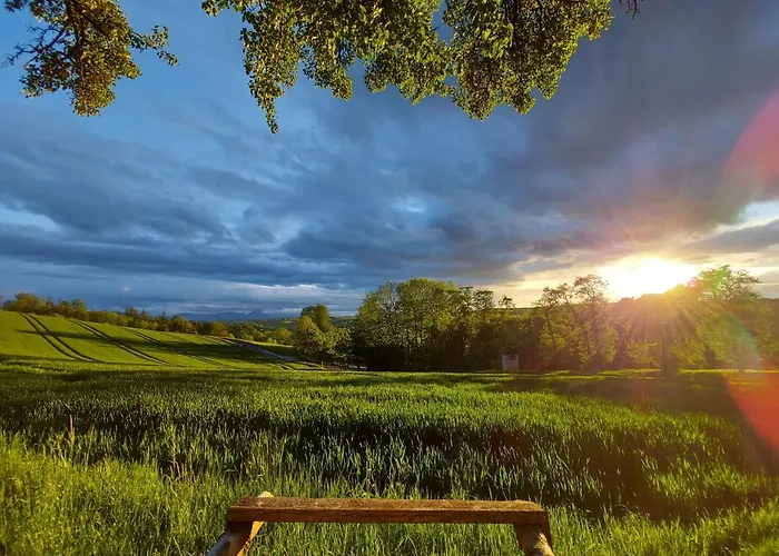 Wildkraut's Kraeuter- Und Alpakabauernhof