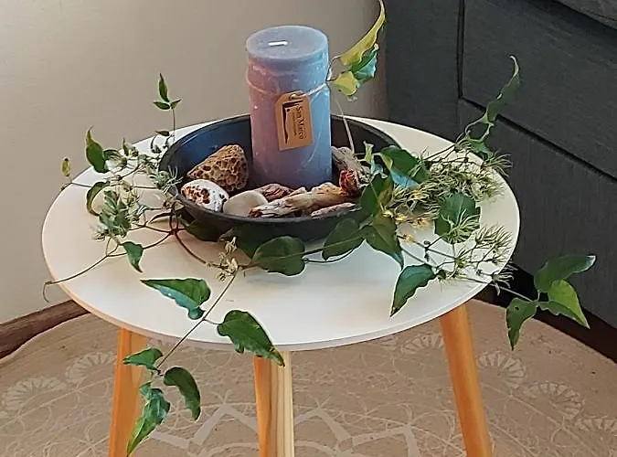 Wildkraut's Kraeuter- Und Alpakabauernhof * Kremsmünster