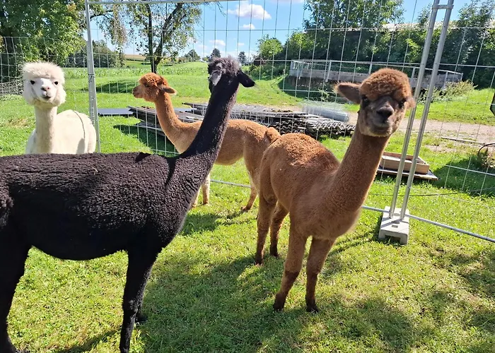 Wildkraut's Kraeuter- Und Alpakabauernhof * Kremsmünster