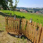 Wildkraut's Kraeuter- Und Alpakabauernhof 克里斯蒙斯特