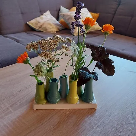 Wildkraut's Kraeuter- Und Alpakabauernhof Appartamento