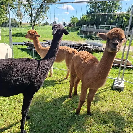 Wildkraut's Kraeuter- Und Alpakabauernhof * Kremsmünster