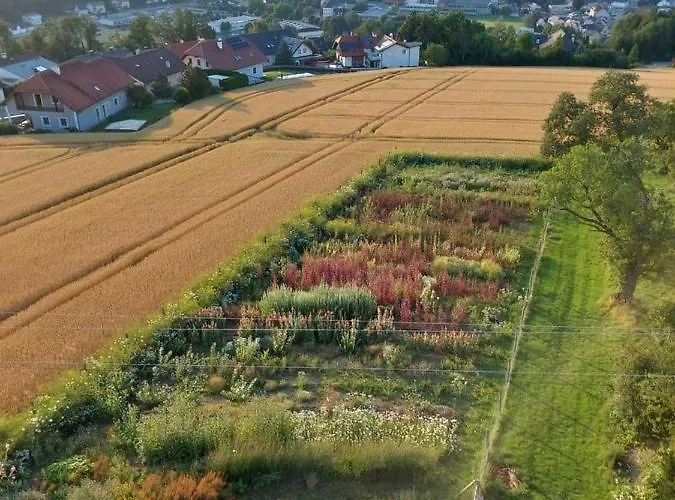 Daire Wildkraut's Kraeuter- Und Alpakabauernhof Kremsmünster