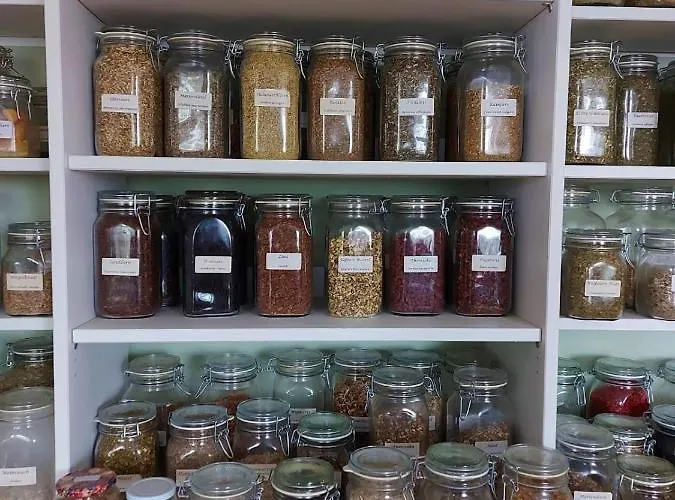 Wildkraut's Kraeuter- Und Alpakabauernhof Daire Kremsmünster